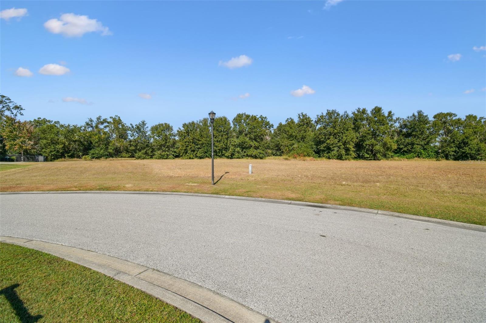 420 Hawk Talon Dr Property Photo 23