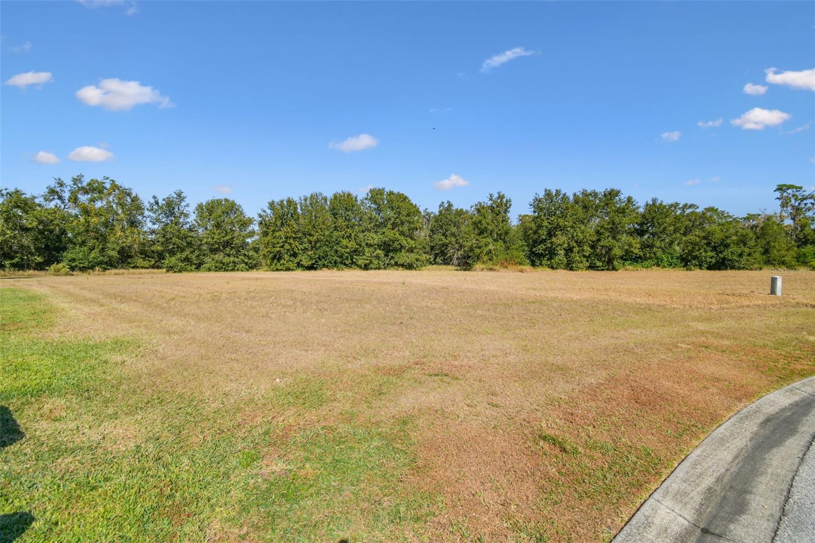 420 Hawk Talon Dr Property Photo 25