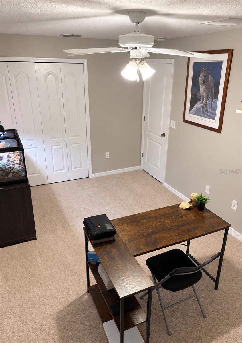 9412 Trumpet Vine Loop Property Photo 33