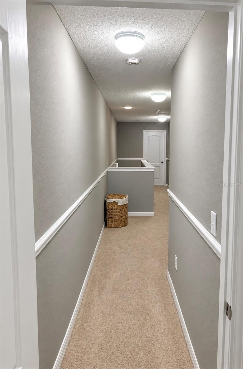 9412 Trumpet Vine Loop Property Photo 43