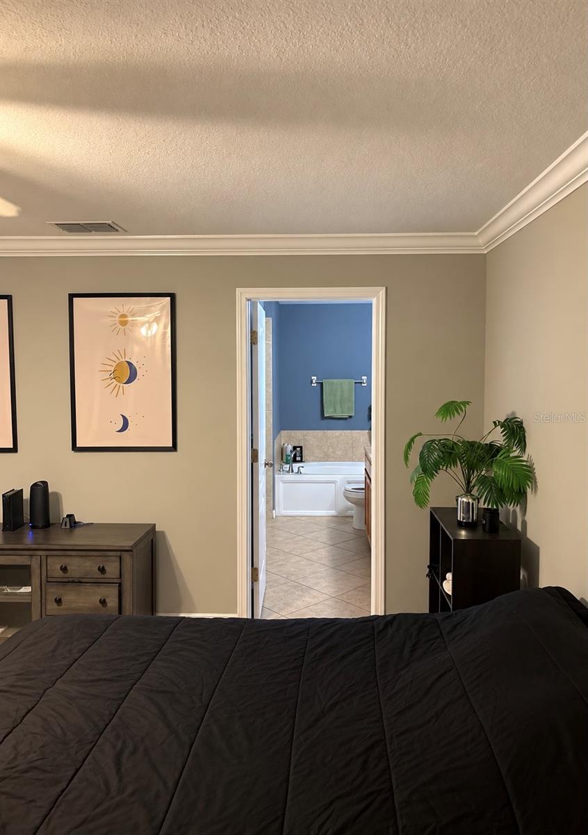 9412 Trumpet Vine Loop Property Photo 48