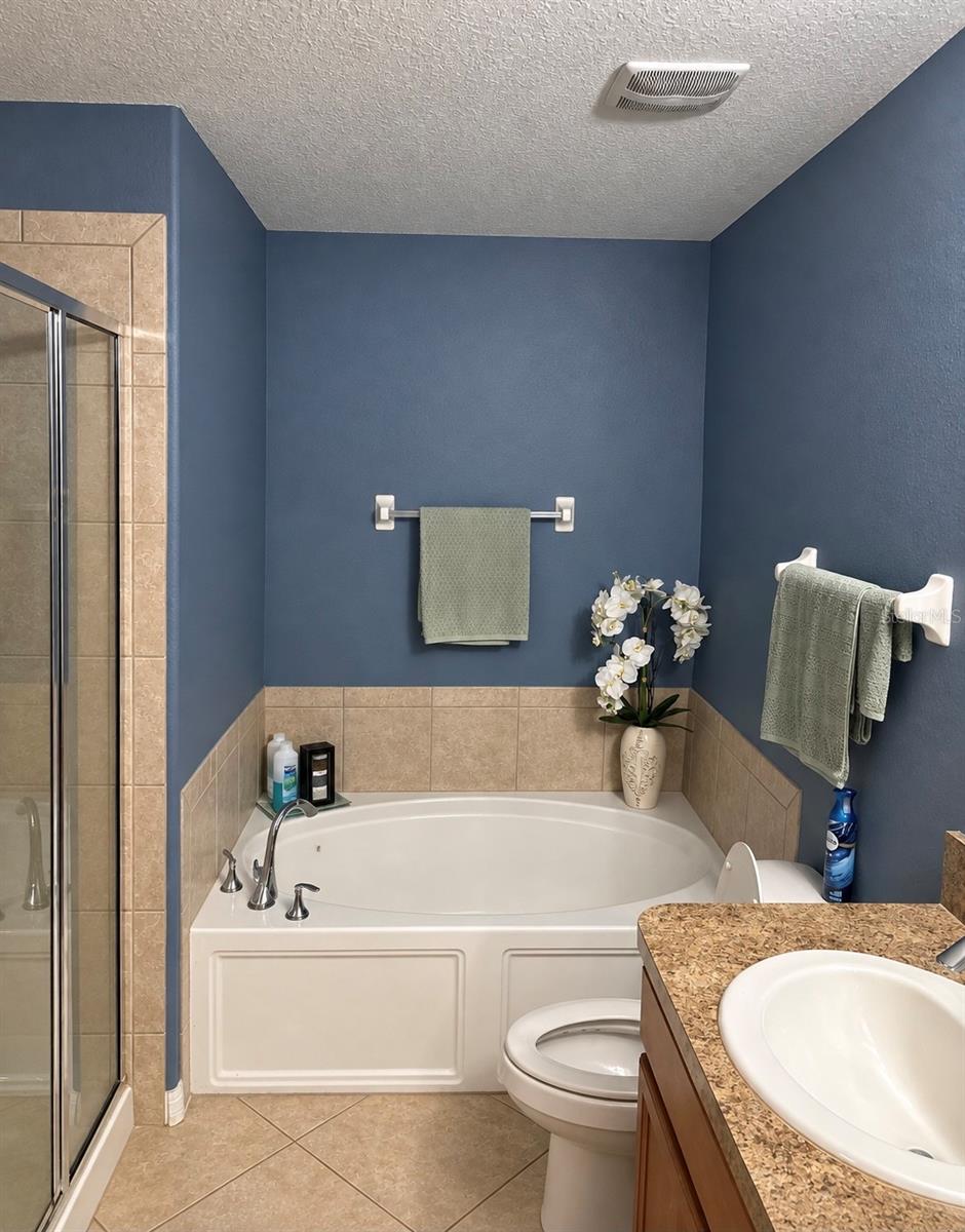 9412 Trumpet Vine Loop Property Photo 50