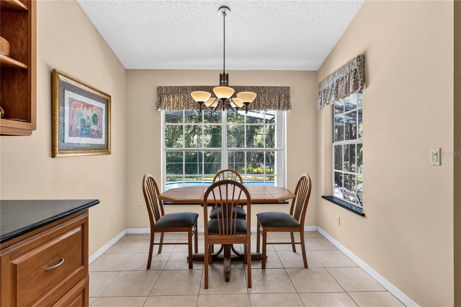 10850 Dearden Cir Property Photo 14