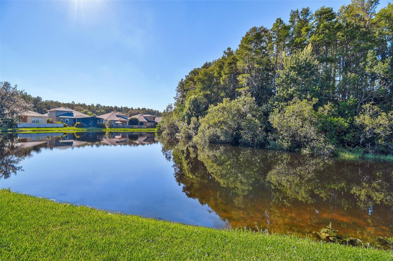 3240 Downan Point Dr Property Photo 3