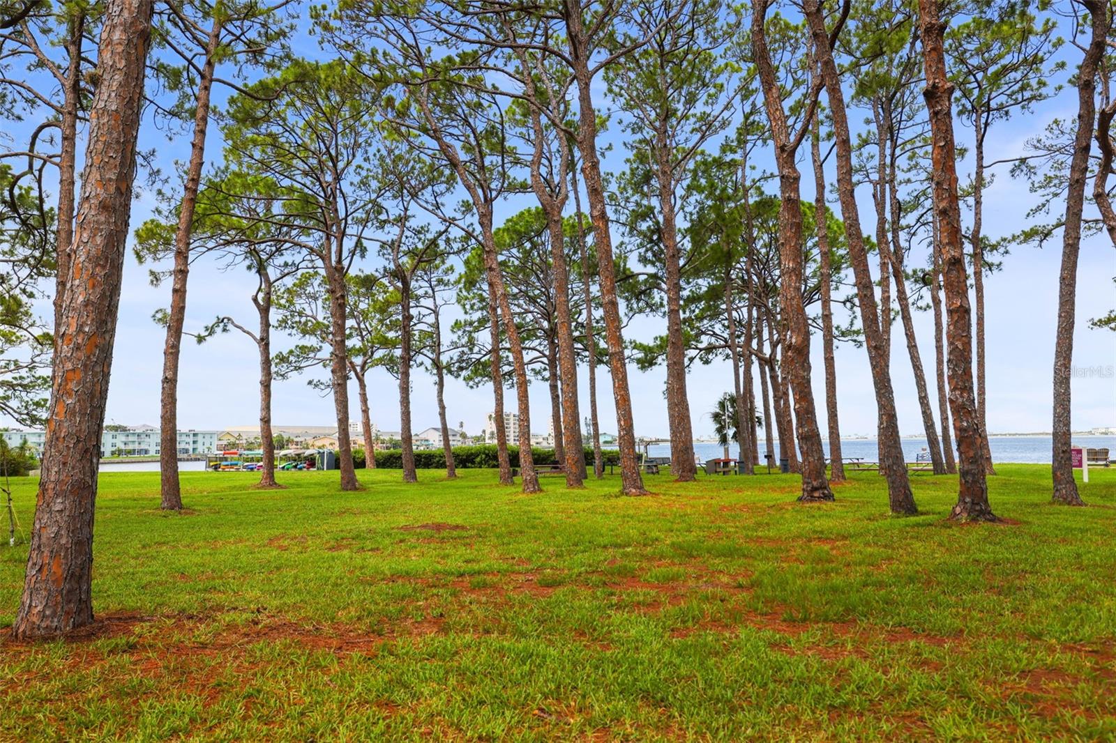 2700 Bayshore Blvd #2110 Property Photo 58