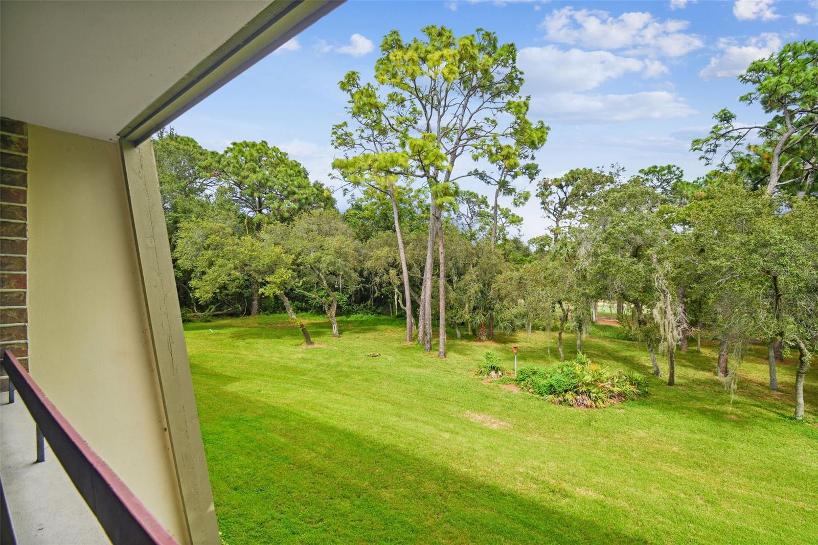 36750 Us Highway 19 #24211 Property Photo 5