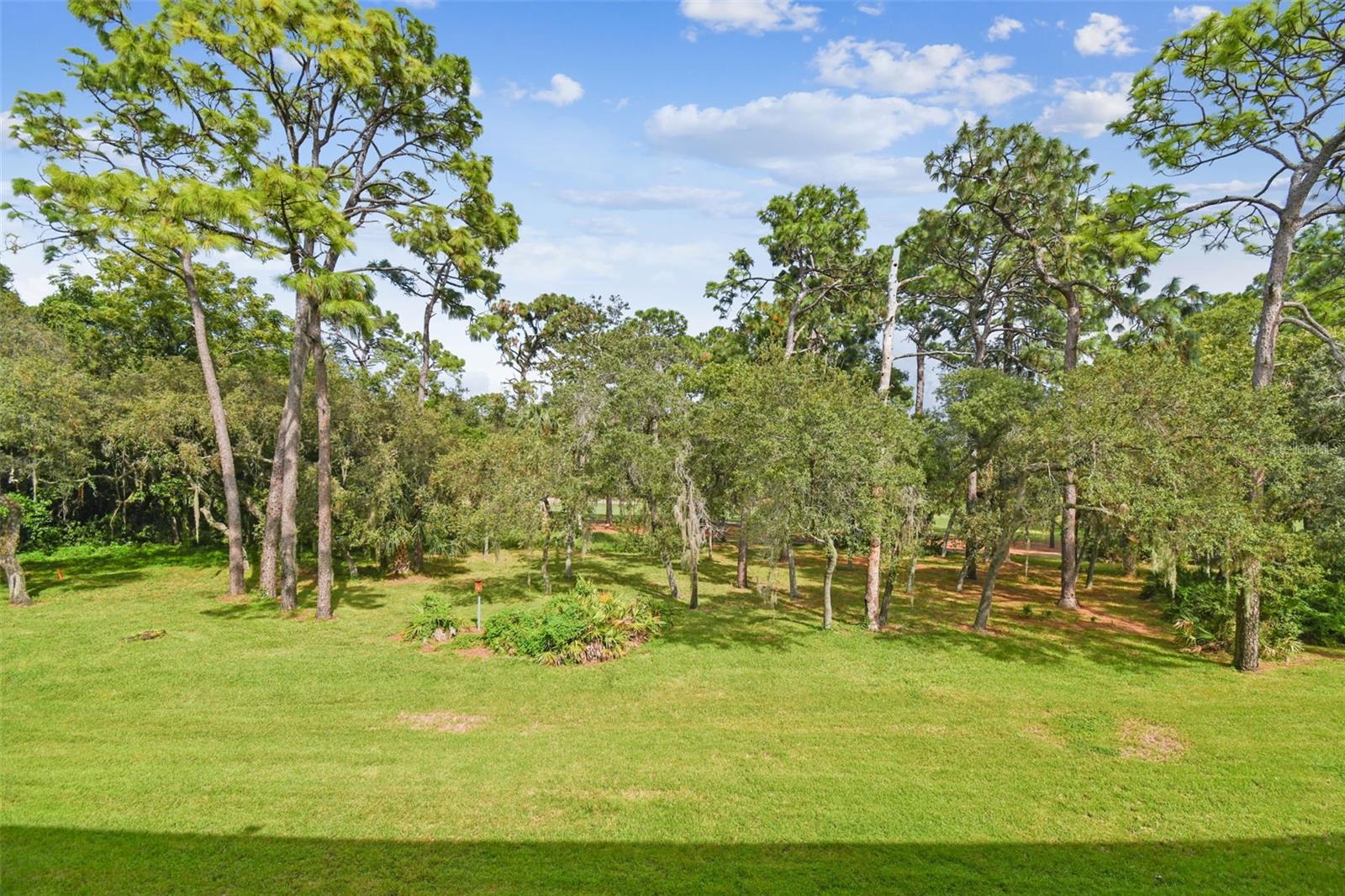36750 Us Highway 19 #24211 Property Photo 6
