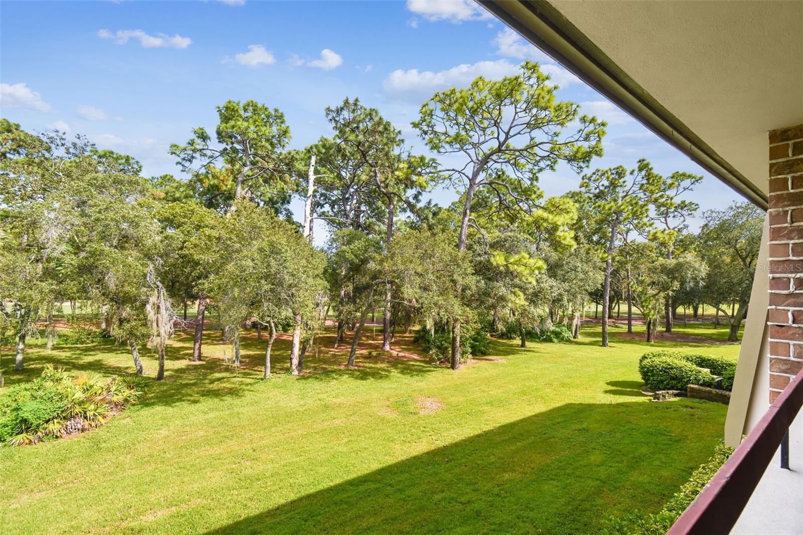 36750 Us Highway 19 #24211 Property Photo 7