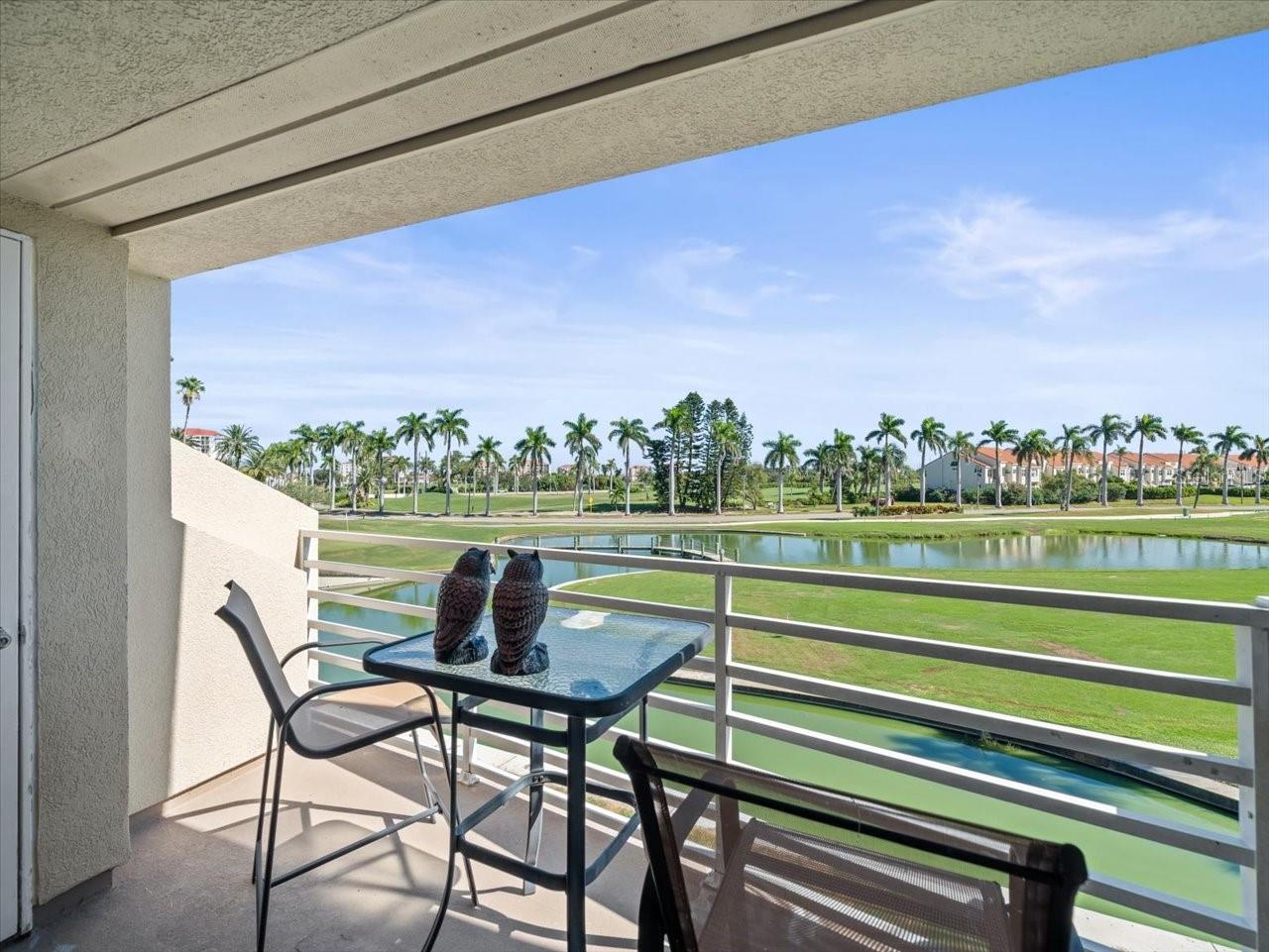 5900 Bahia Del Mar Cir #238 Property Photo 23