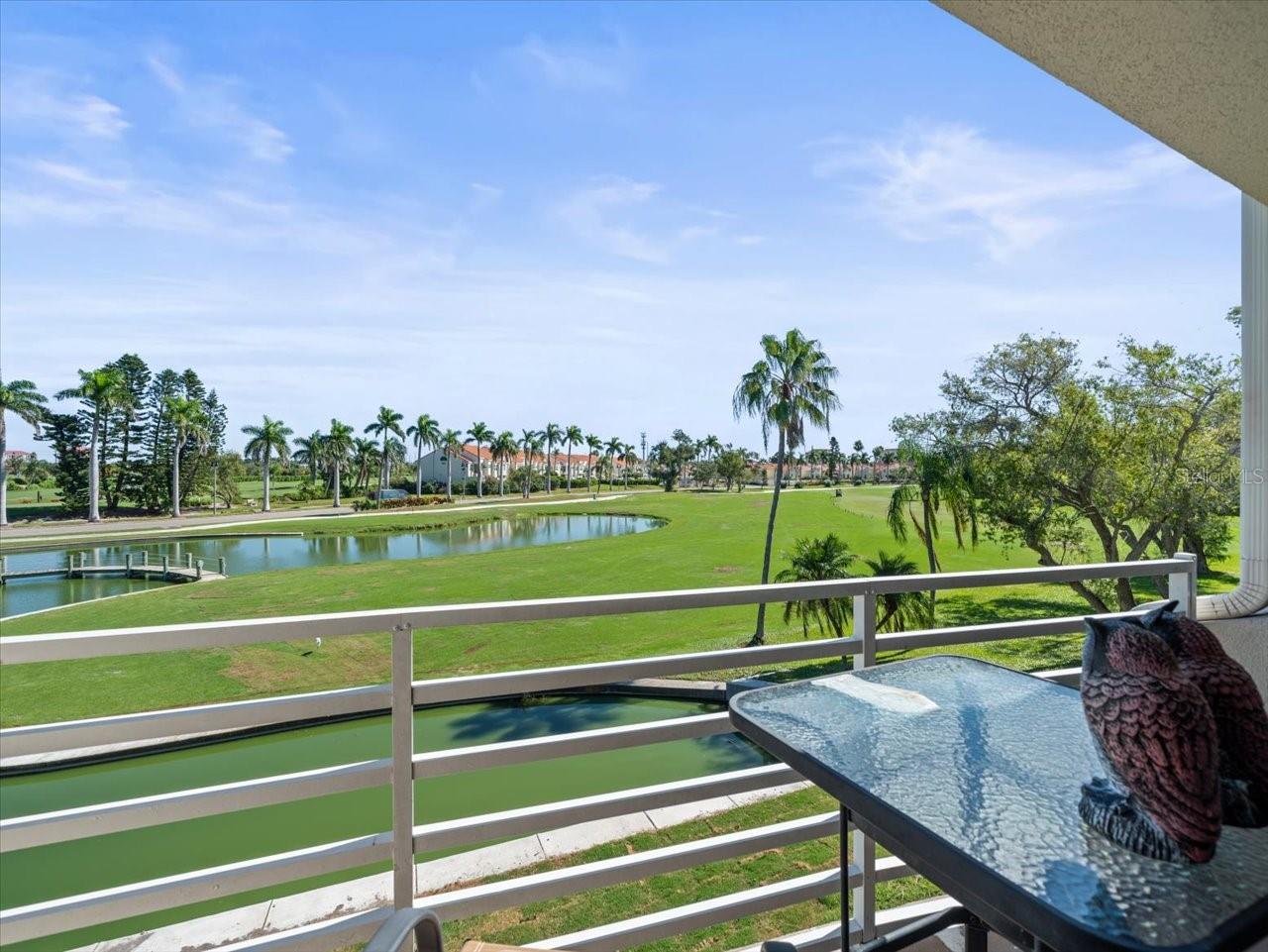 5900 Bahia Del Mar Cir #238 Property Photo 24