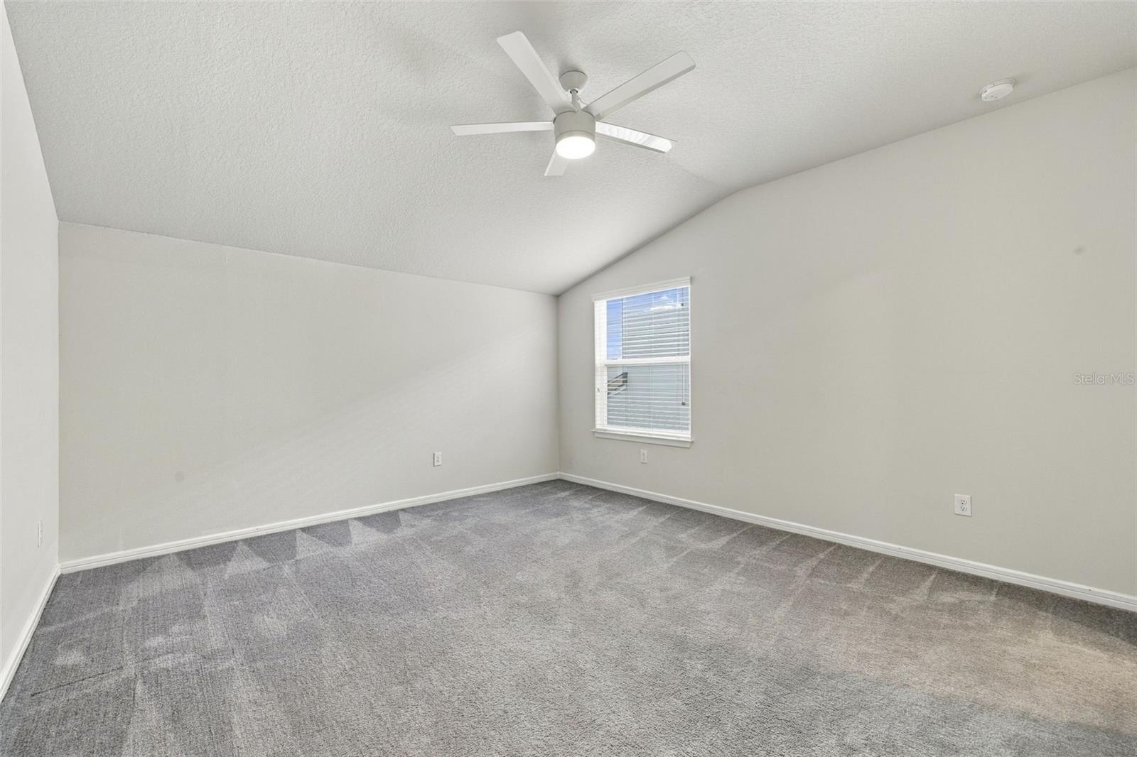 12919 Willow Grove Dr Property Photo 47