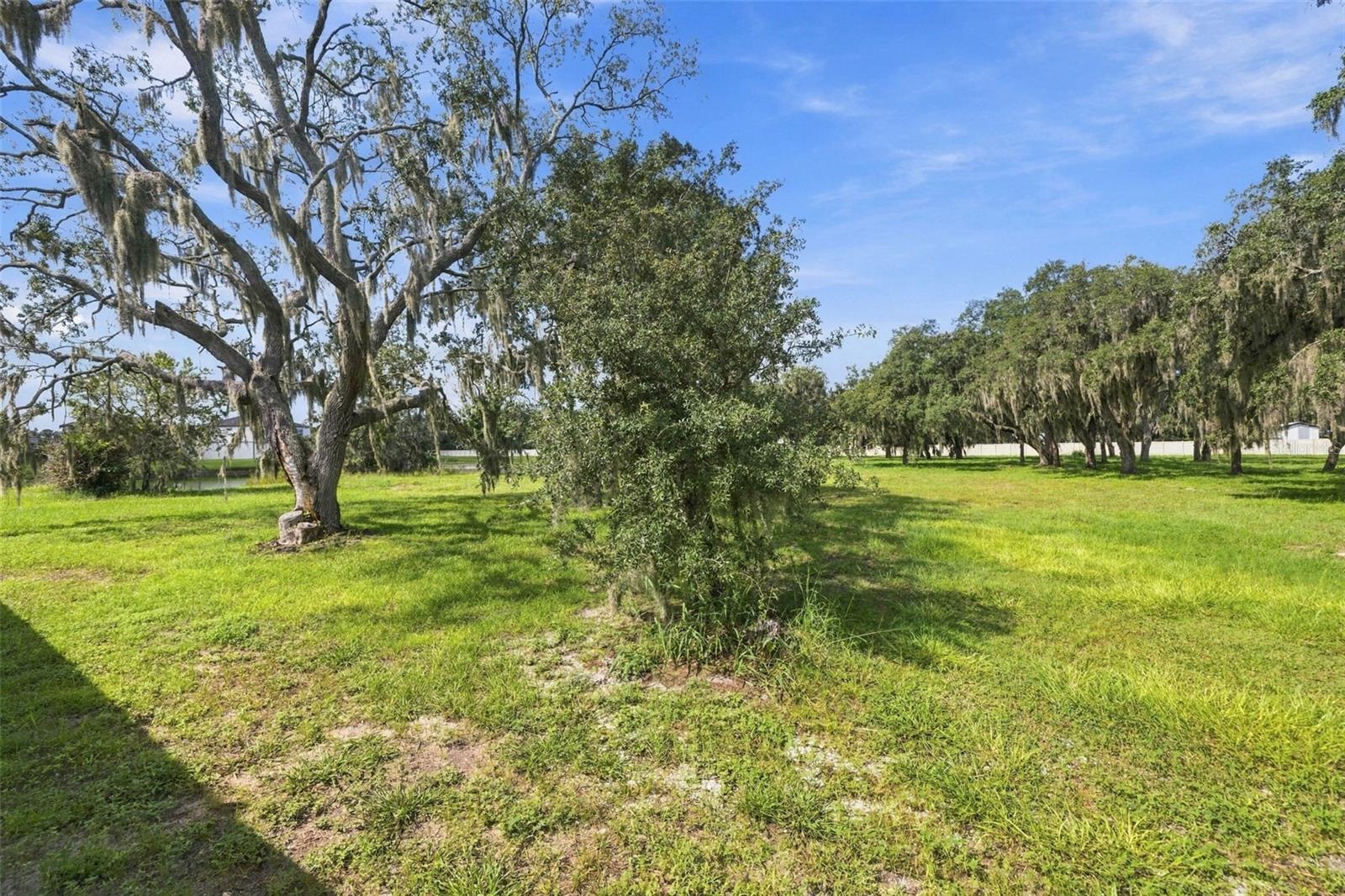 12919 Willow Grove Dr Property Photo 59
