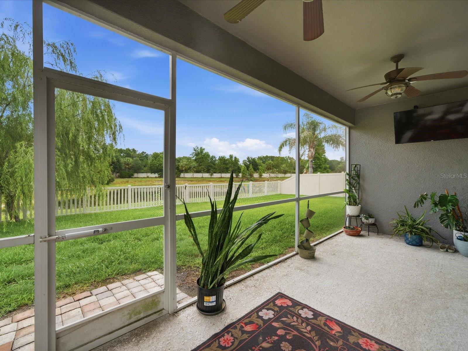 17735 Bright Wheat Dr Property Photo 38