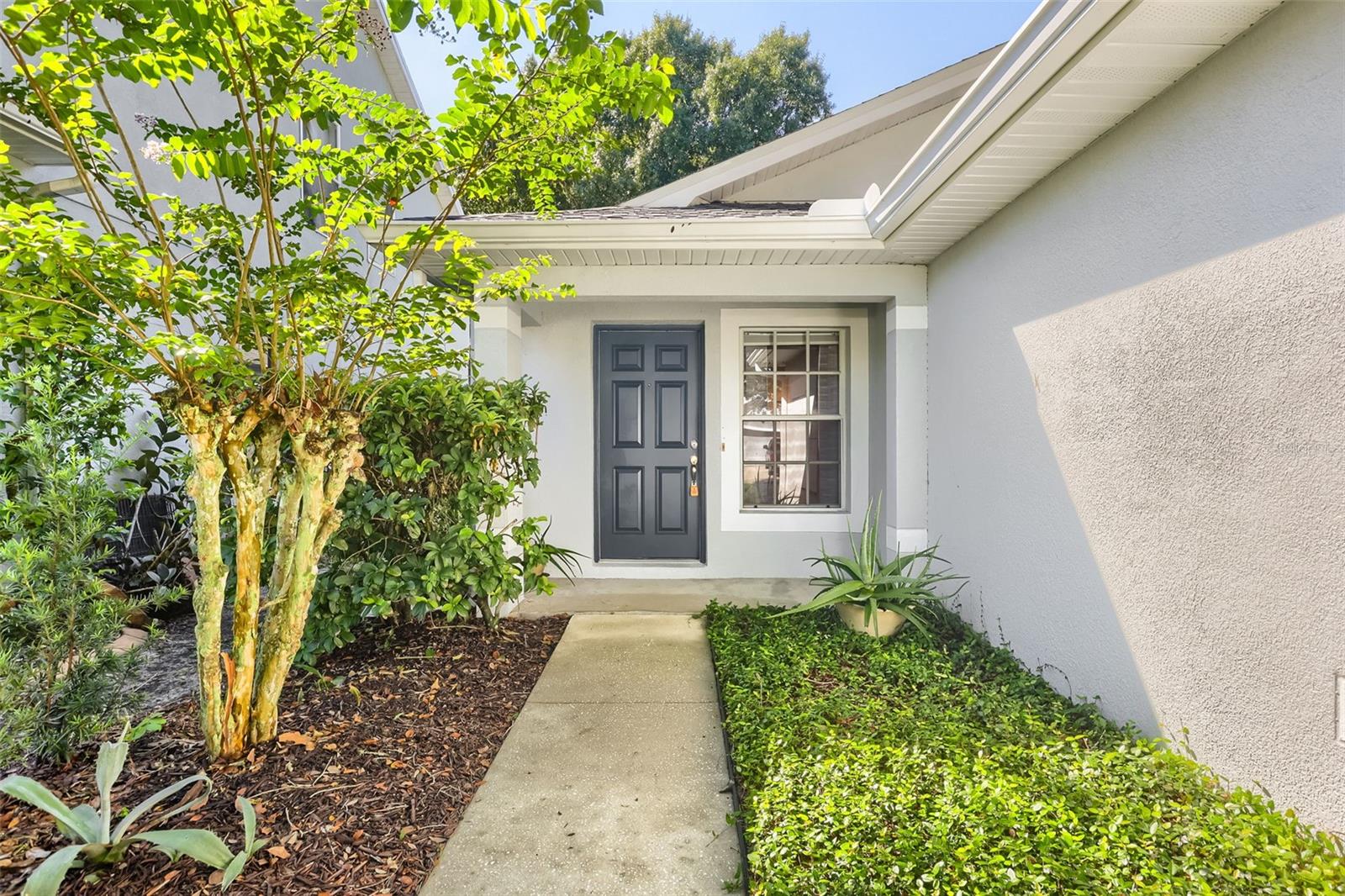 7902 Citrus Blossom Dr Property Photo 4