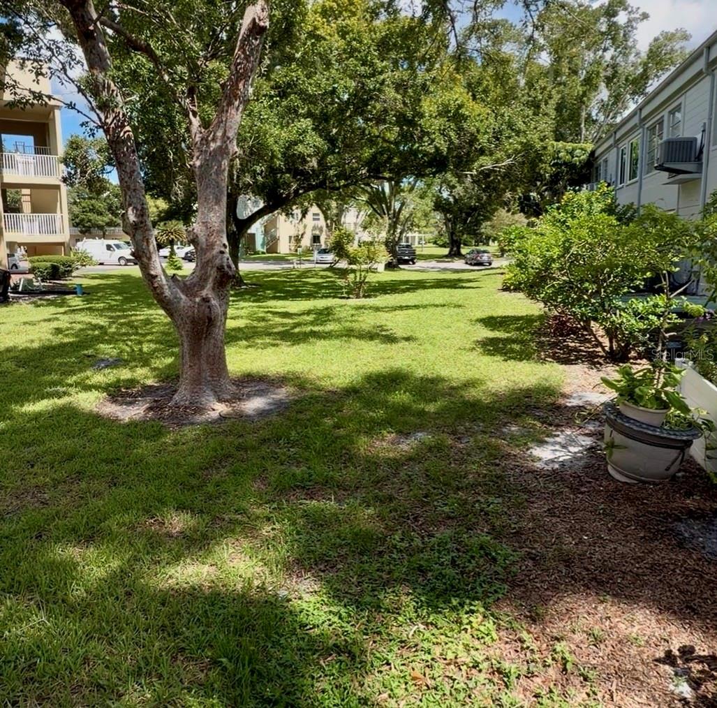 2100 World Parkway Blvd #20 Property Photo 10