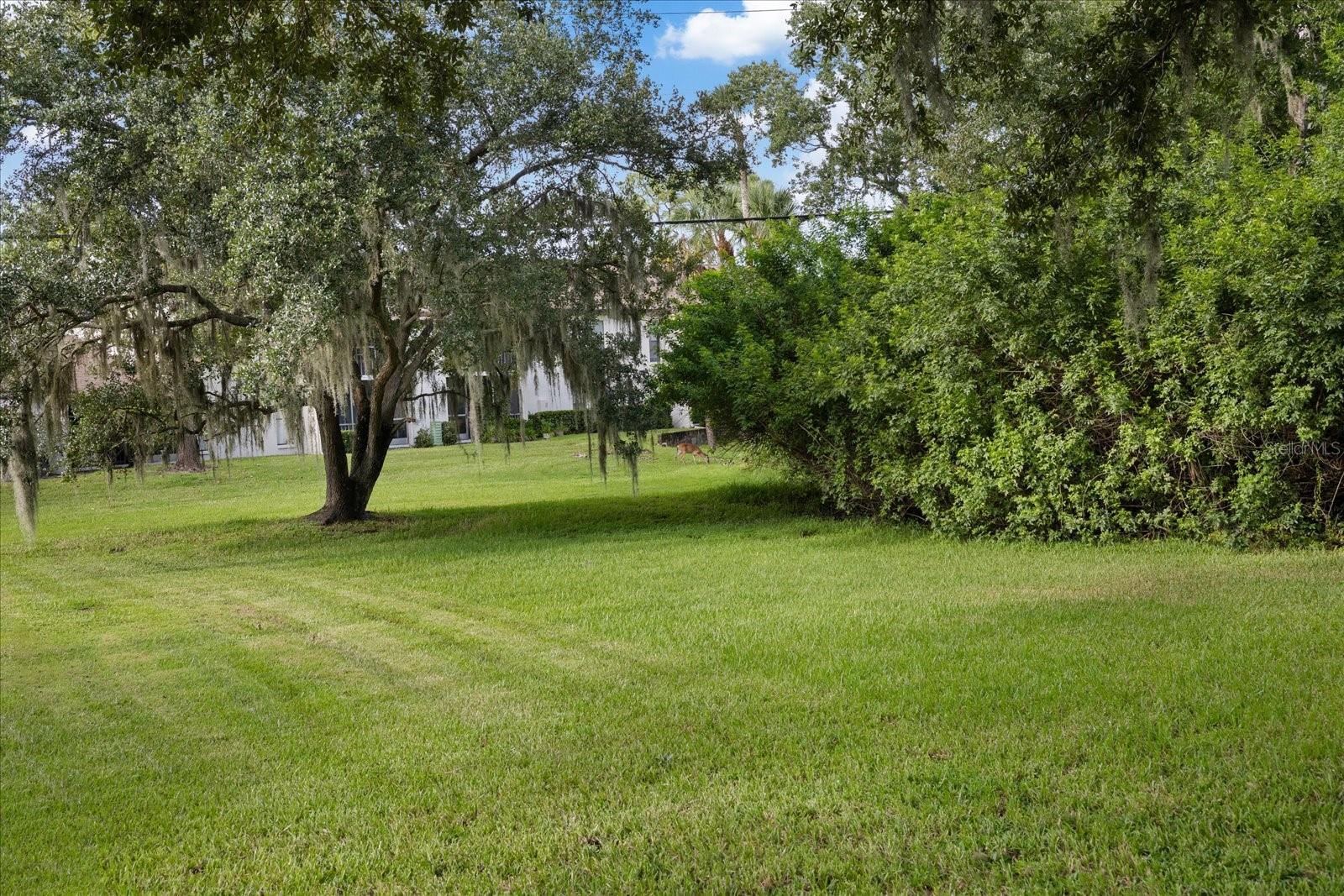 1801 E Lake Rd #2d Property Photo 6