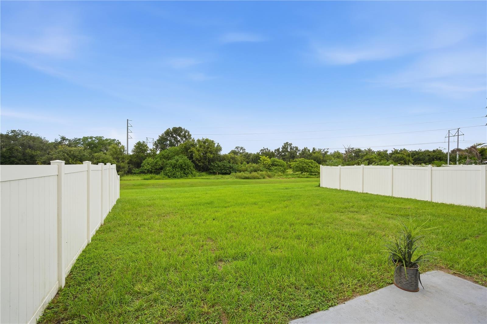 11154 Leland Groves Dr Property Photo 17