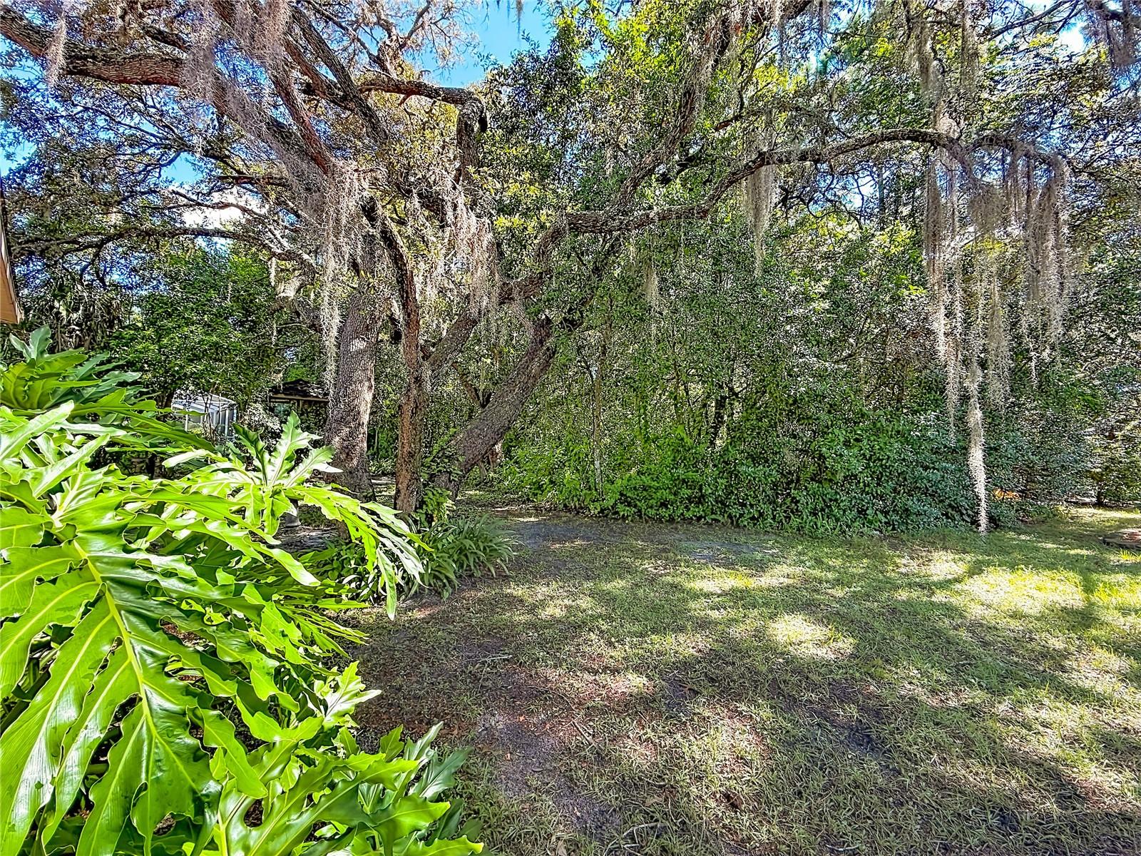 255 Pine St Property Photo 39