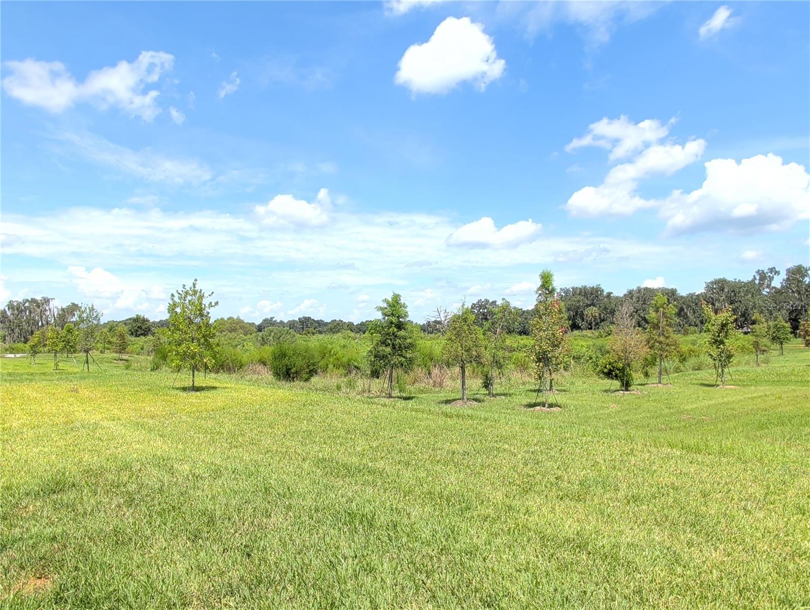 4057 Westwood Fields Loop Property Photo 23