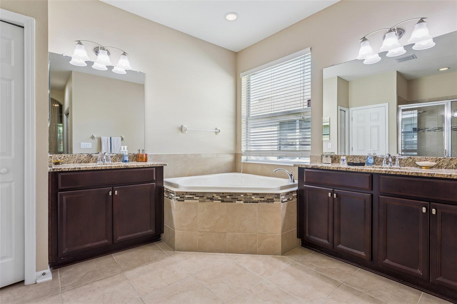 10112 Caraway Spice Ave Property Photo 19