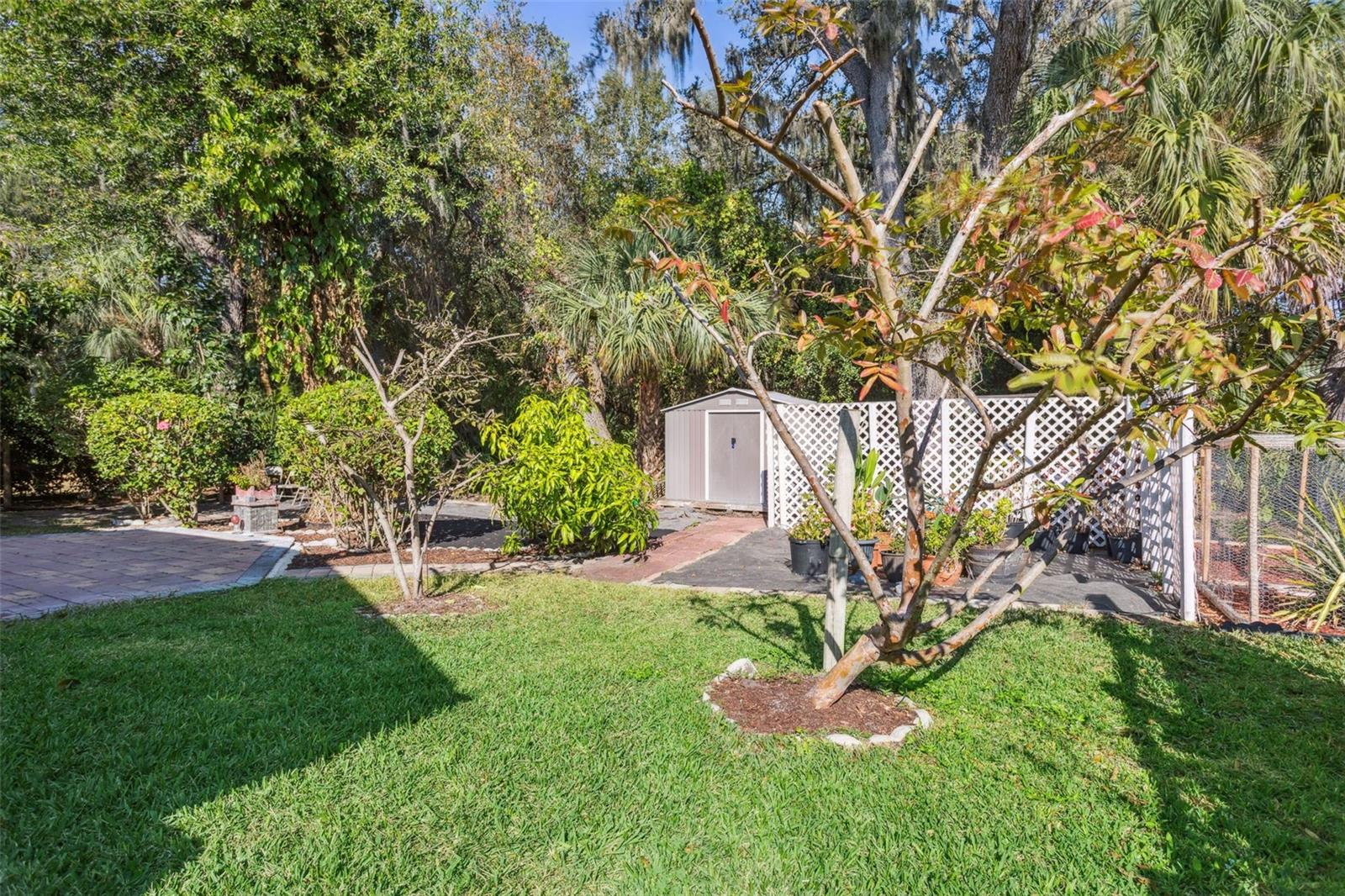 10112 Caraway Spice Ave Property Photo 24