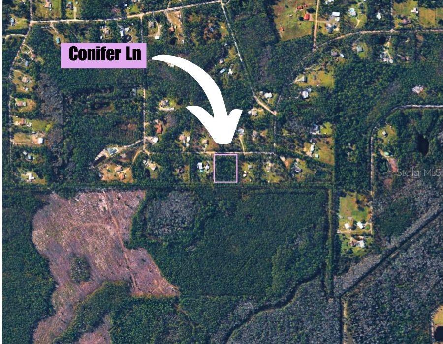 220 Conifer Ln Property Photo 6