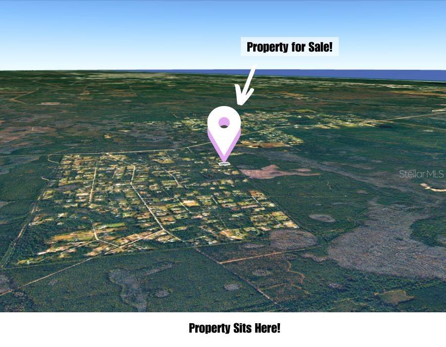220 Conifer Ln Property Photo 8