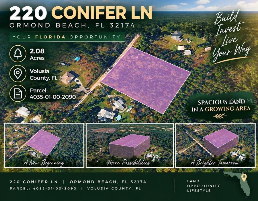 220 Conifer Ln Property Photo 12