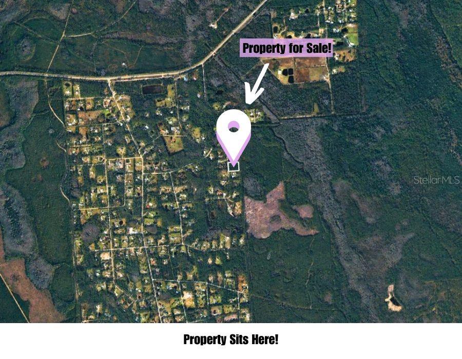 220 Conifer Ln Property Photo 16