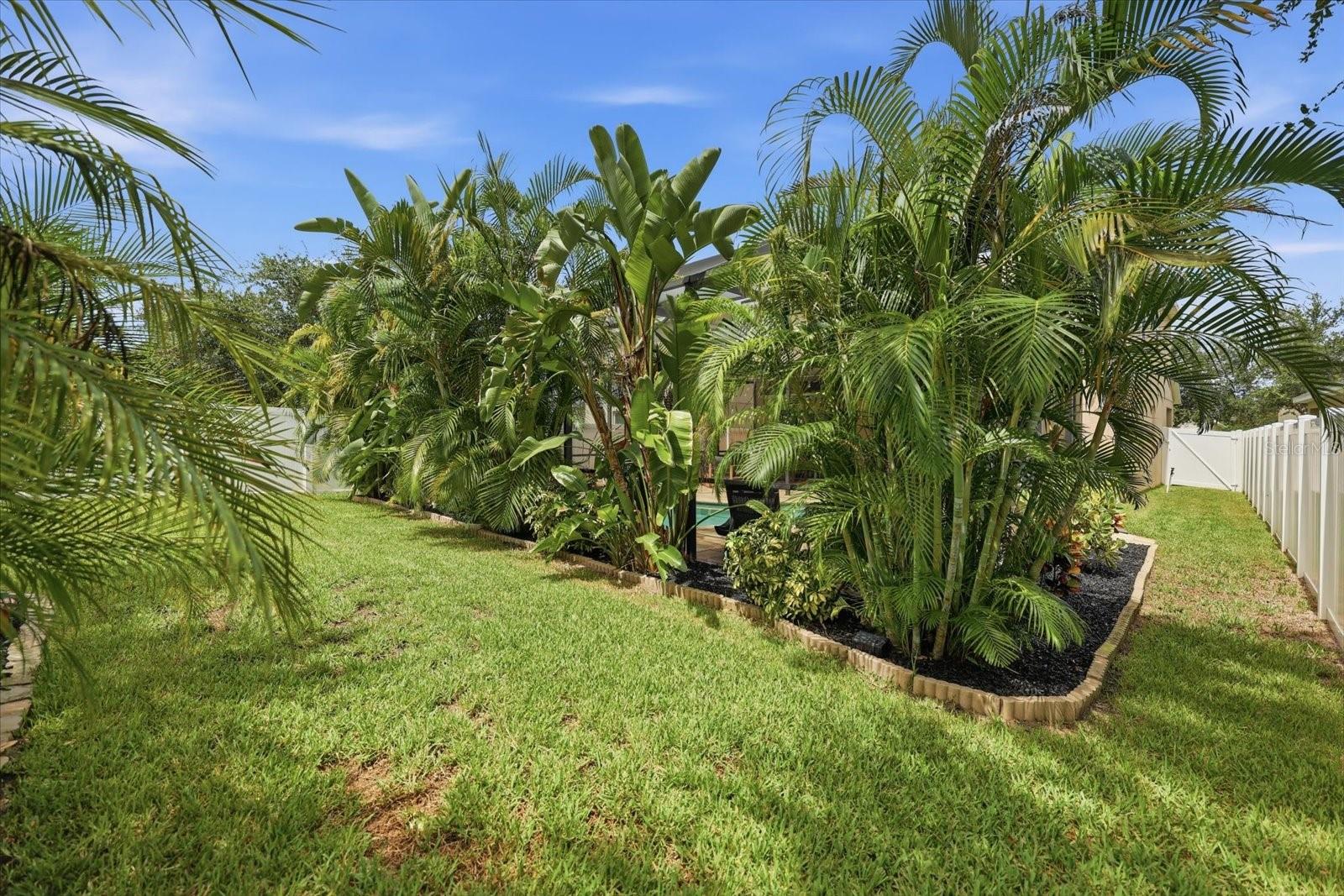 10519 Whispering Hammock Dr Property Photo 40