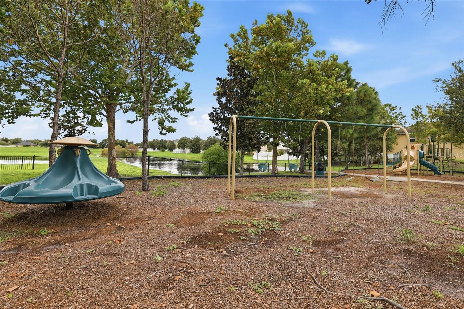 10519 Whispering Hammock Dr Property Photo 43
