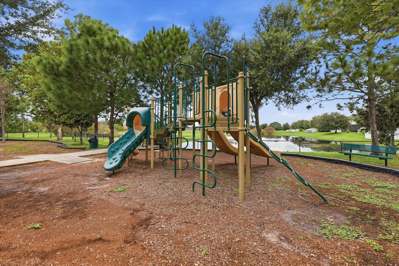 10519 Whispering Hammock Dr Property Photo 44