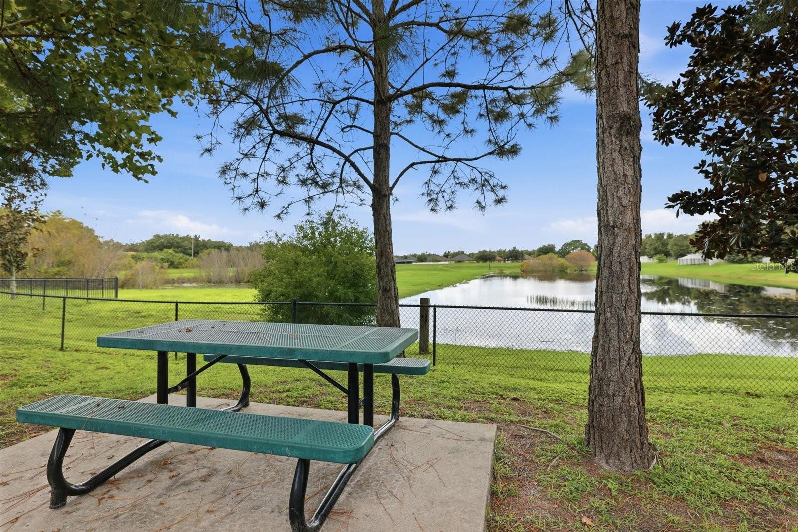 10519 Whispering Hammock Dr Property Photo 45