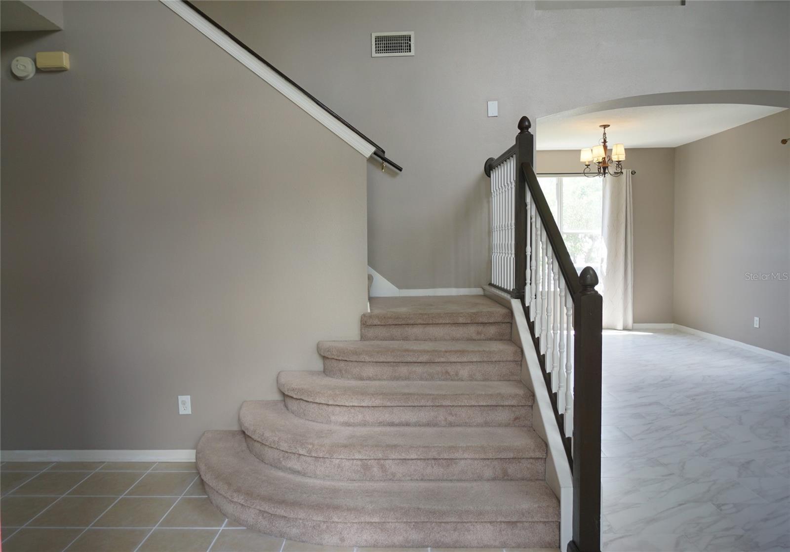 8718 Sandy Plains Dr Property Photo 18