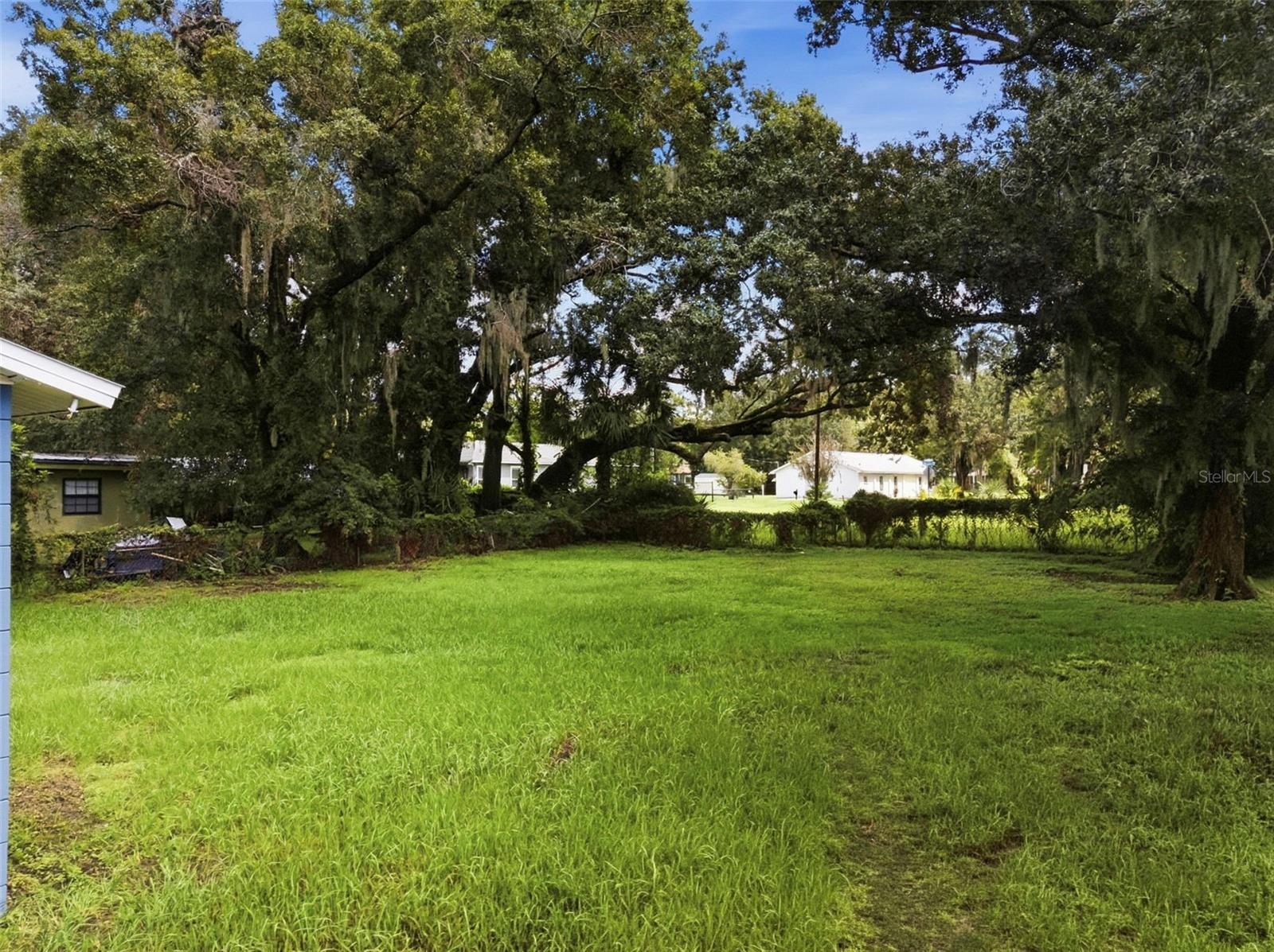 110 S Forest St Property Photo 15