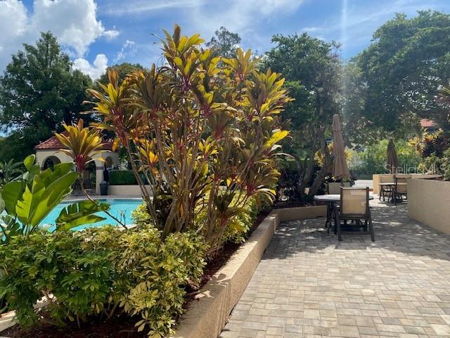2400 Feather Sound Dr #1431 Property Photo 18