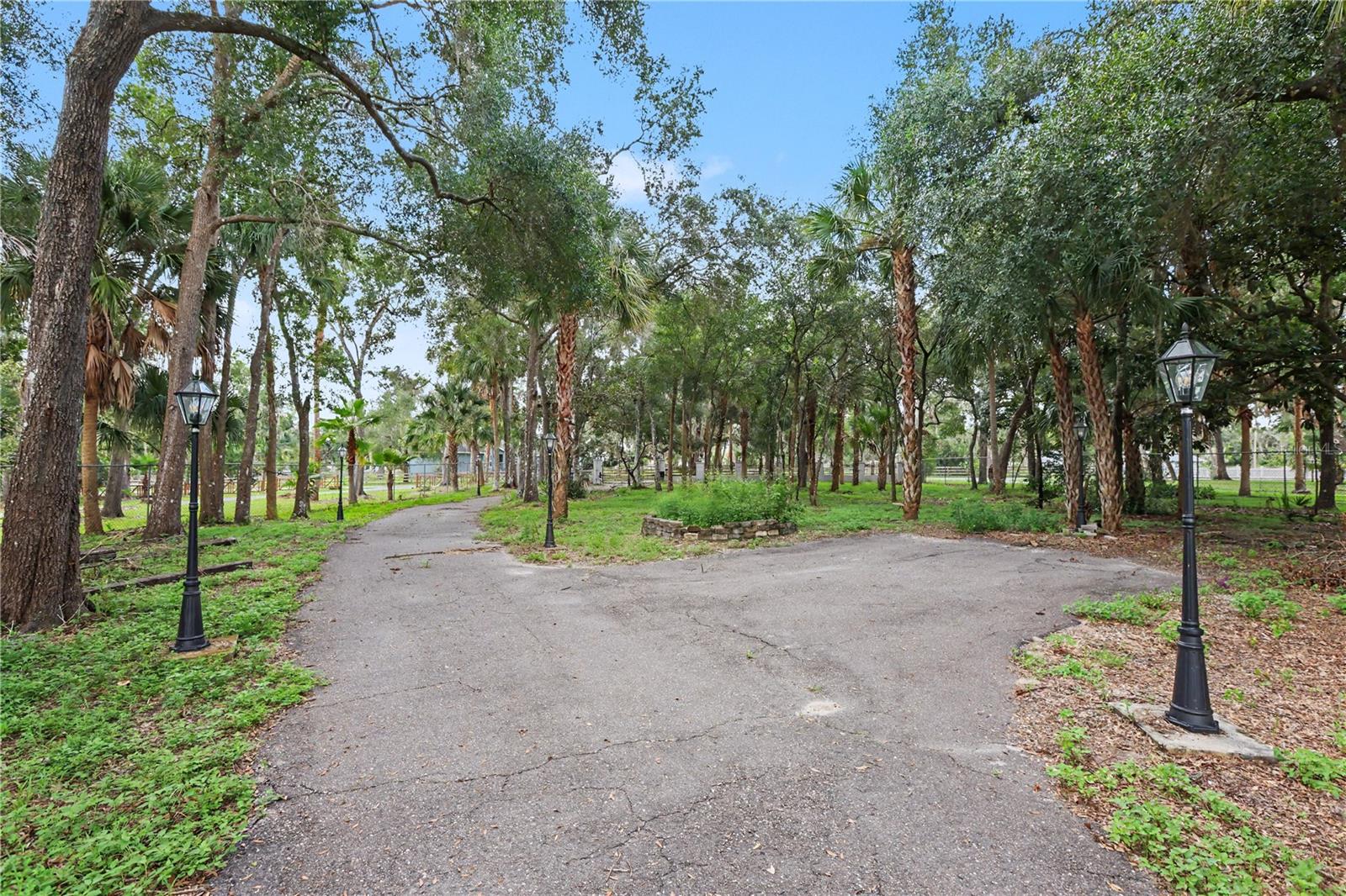 8224 Revels Rd Property Photo 26