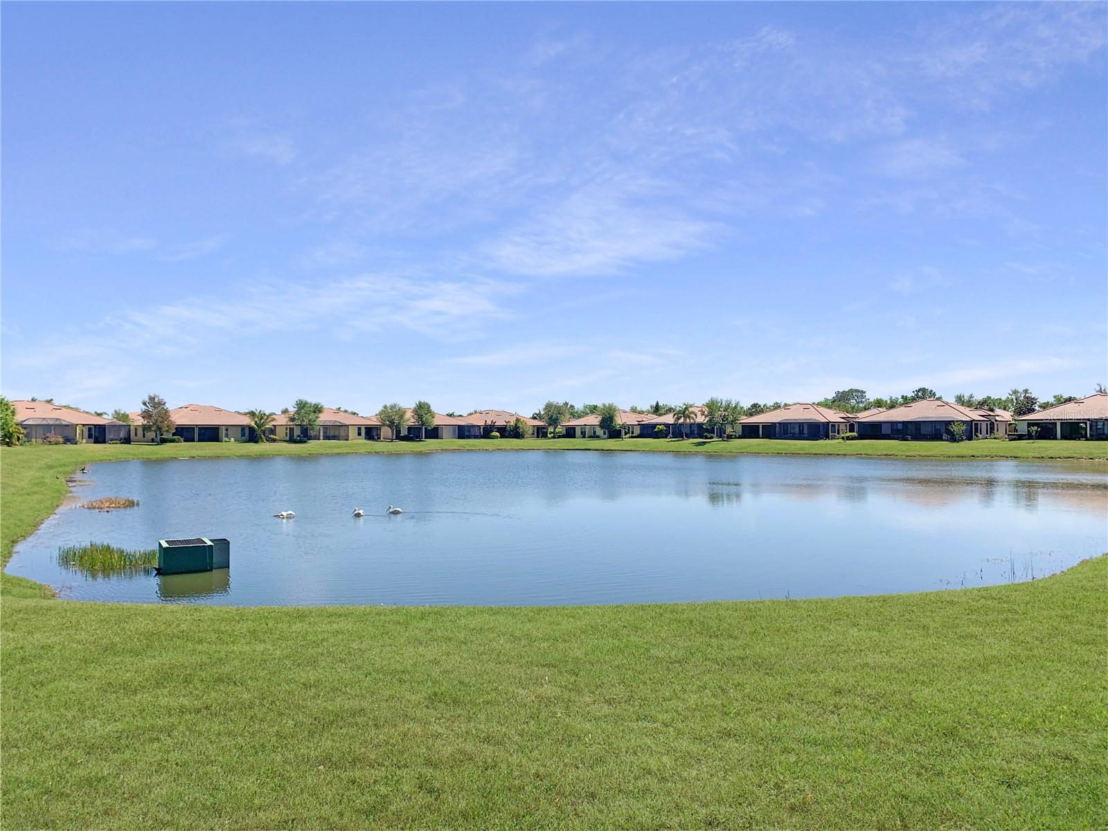 5472 Sunset Falls Dr Property Photo 15