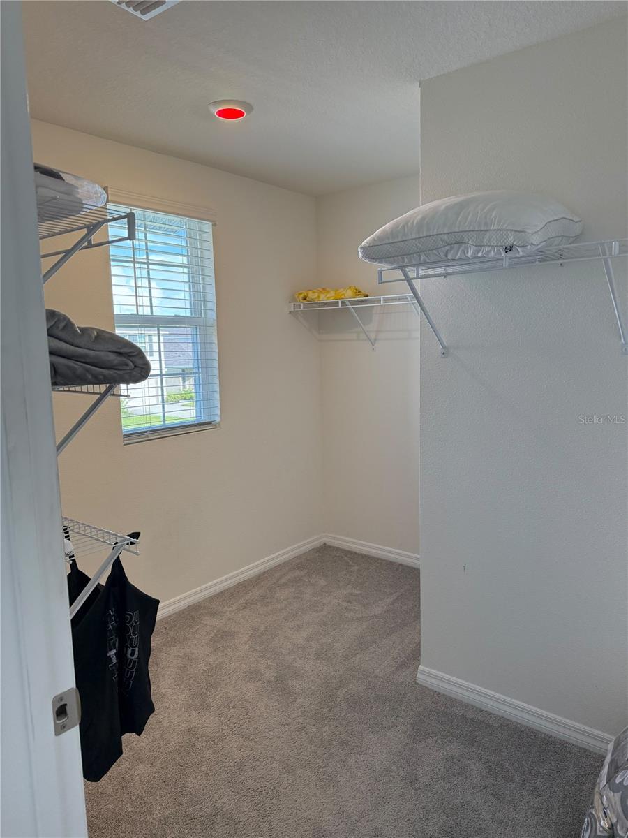 2907 Rock Sound St Property Photo 27
