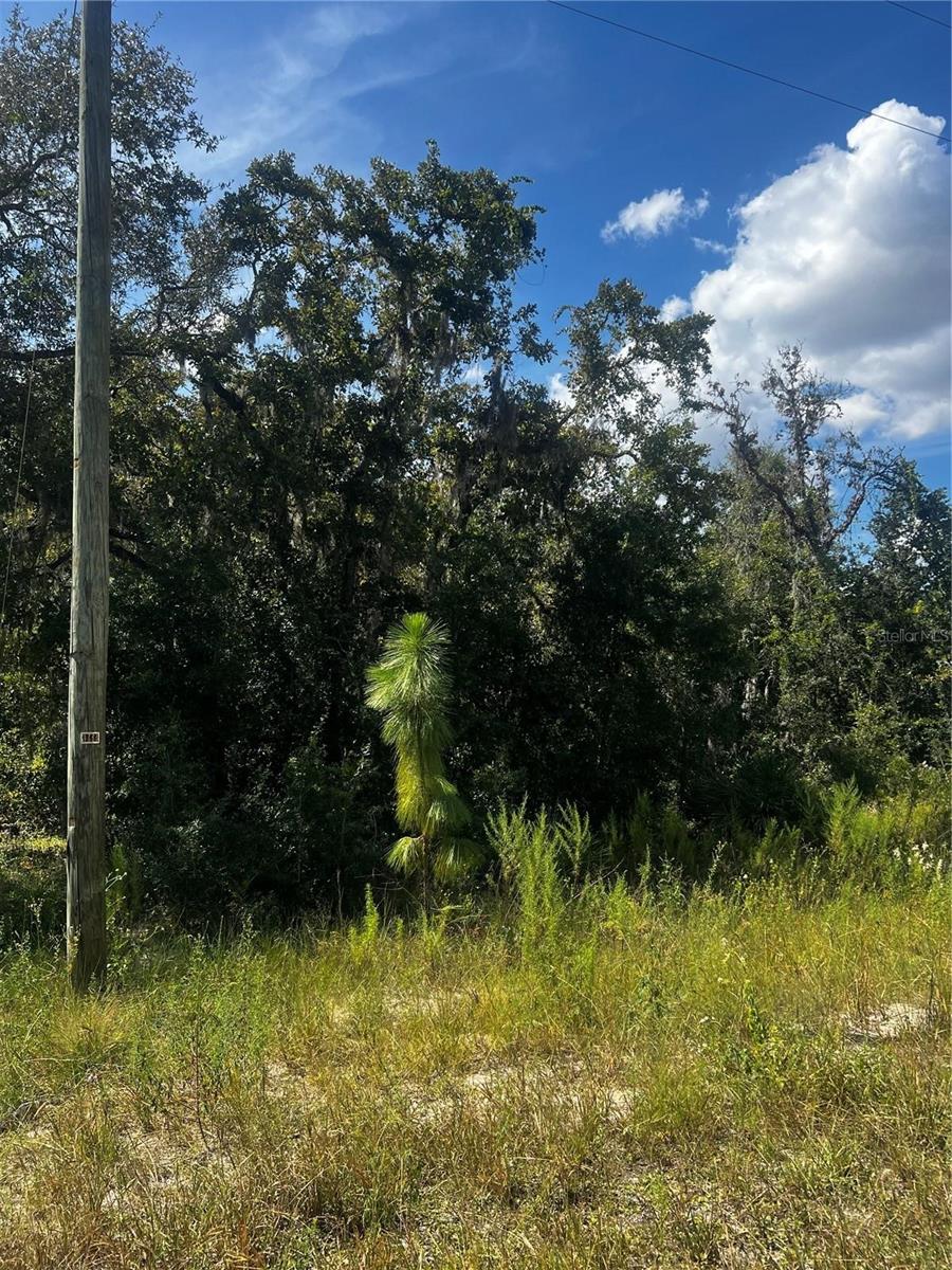 0 CRIDER RD Property Photo 1