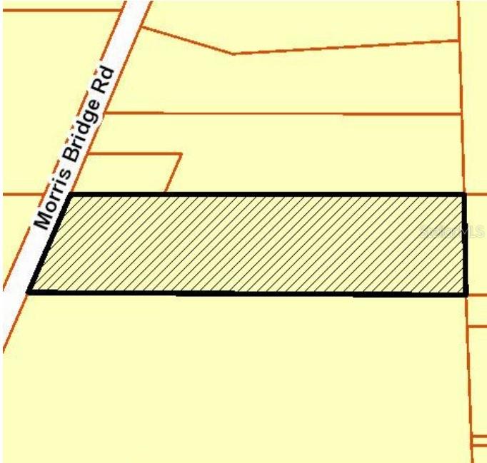 1 Thonotosassa Property Photo 2