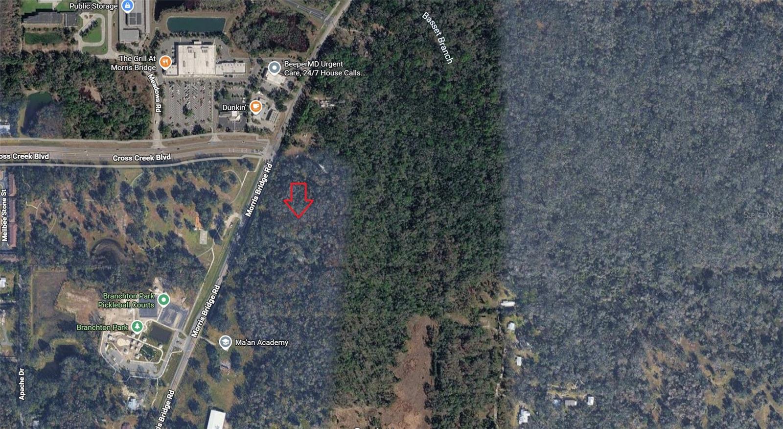 1 Thonotosassa Property Photo 3