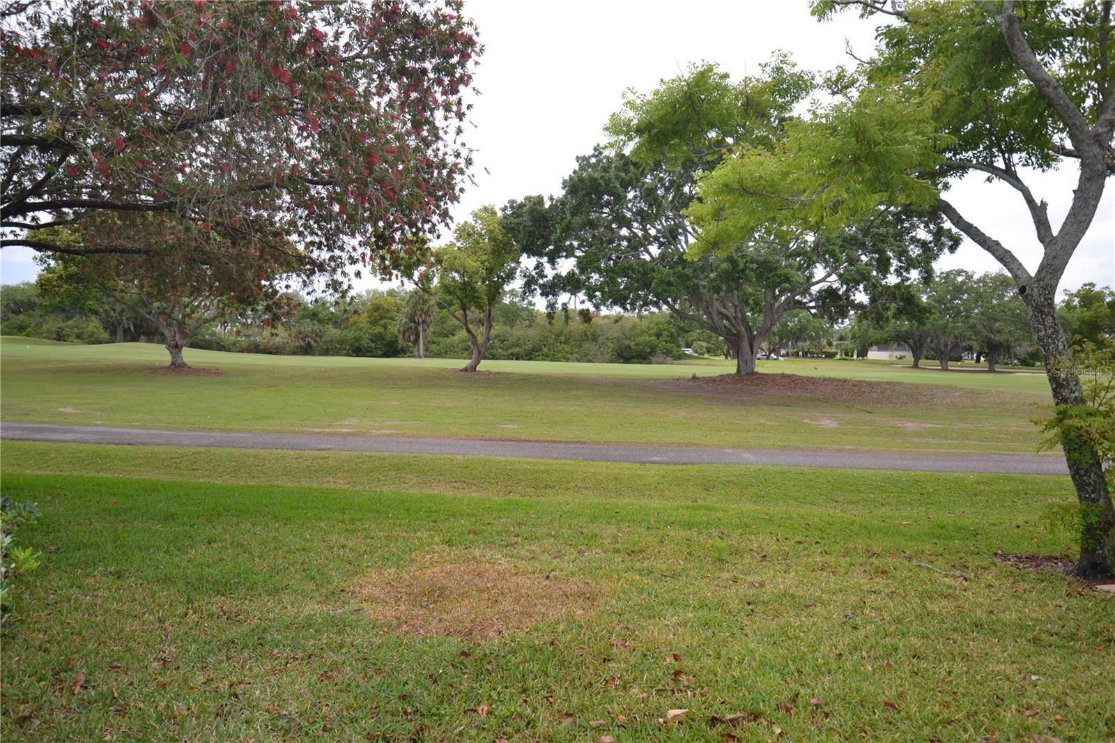 130 Tads Trl Property Photo 55