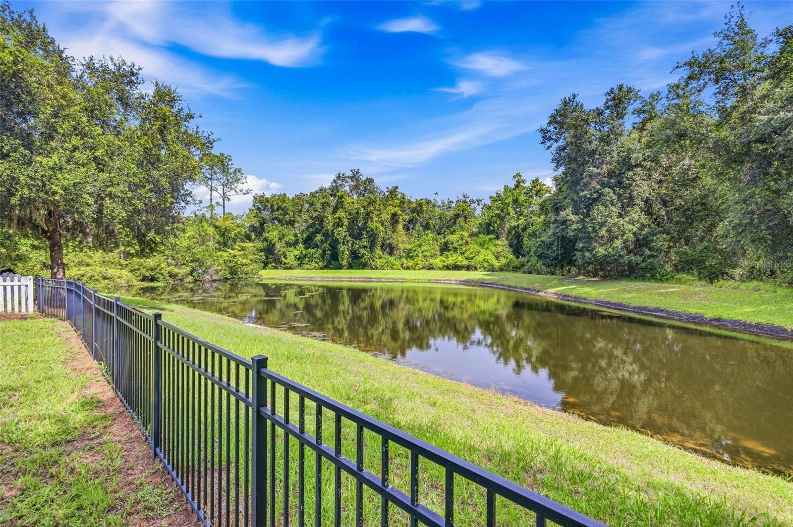11241 Belle Haven Dr Property Photo 25