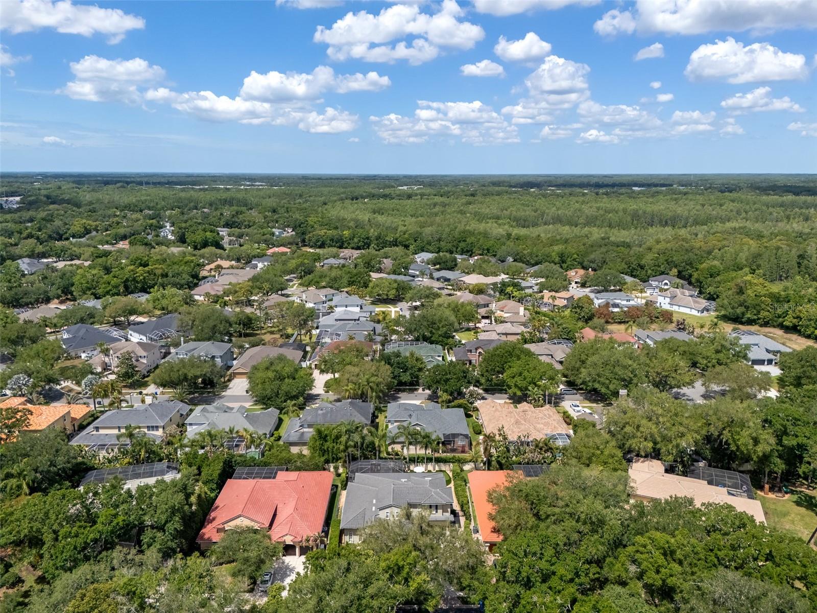 1921 Floresta View Dr Property Photo 82