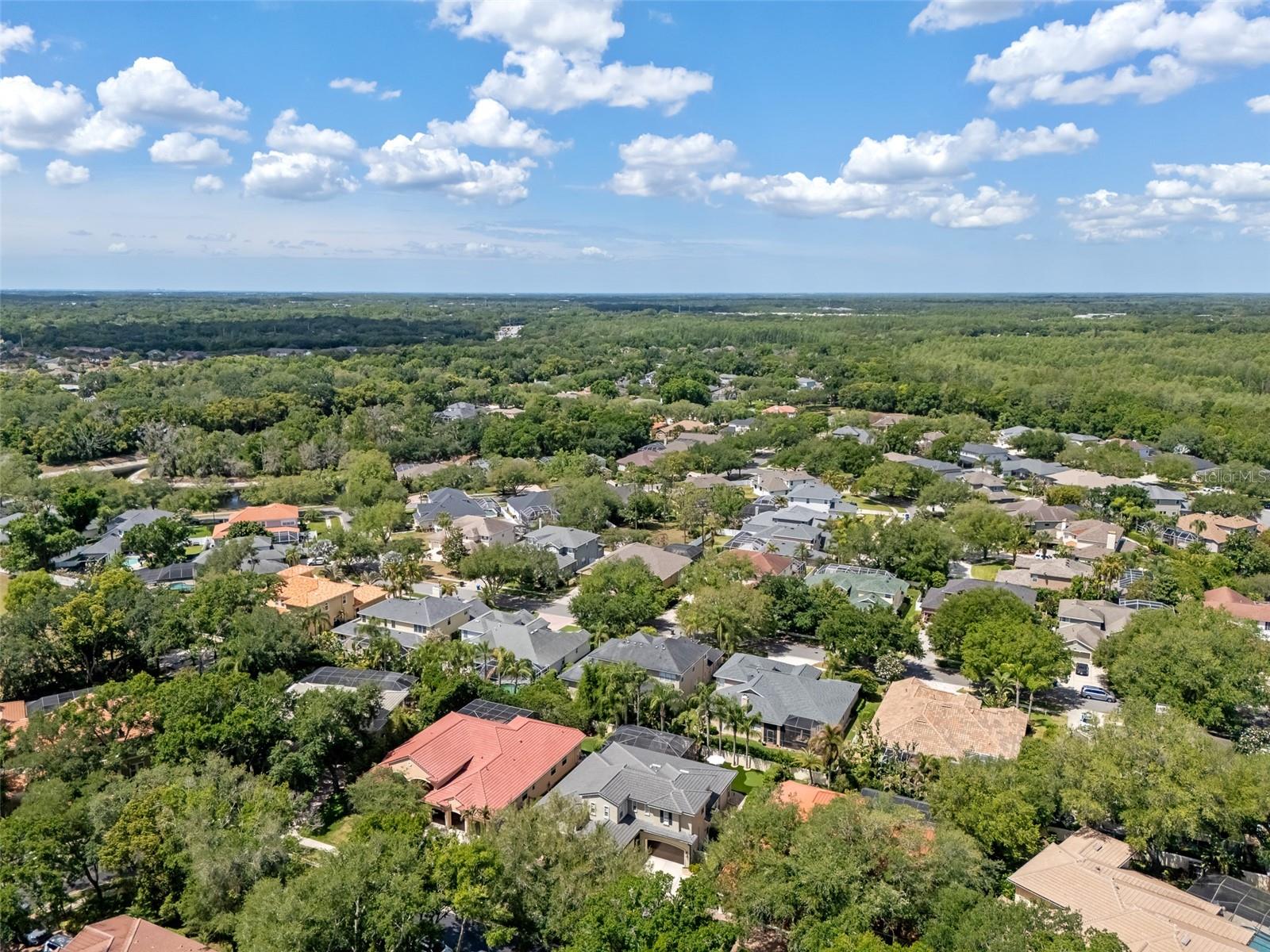 1921 Floresta View Dr Property Photo 83
