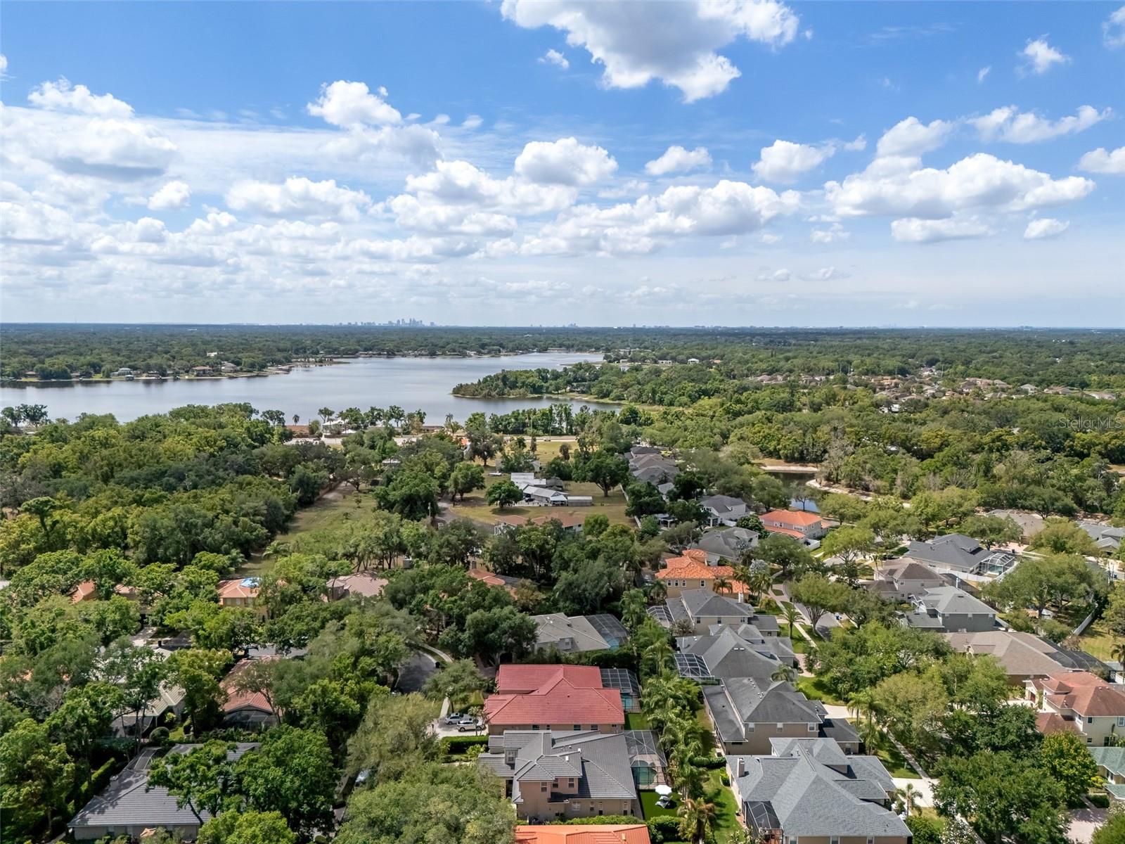 1921 Floresta View Dr Property Photo 84