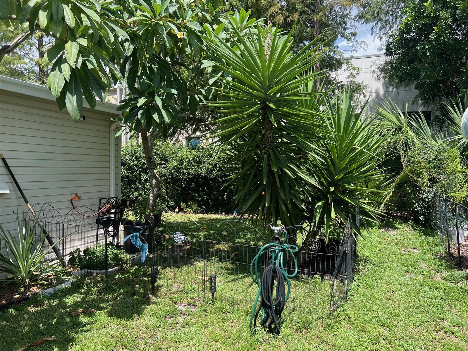 63 Royal Palm Cir Property Photo 4