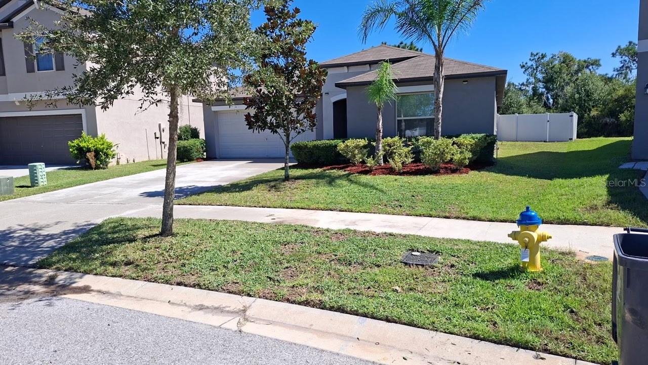 12903 Wildflower Meadow Dr Property Photo 1