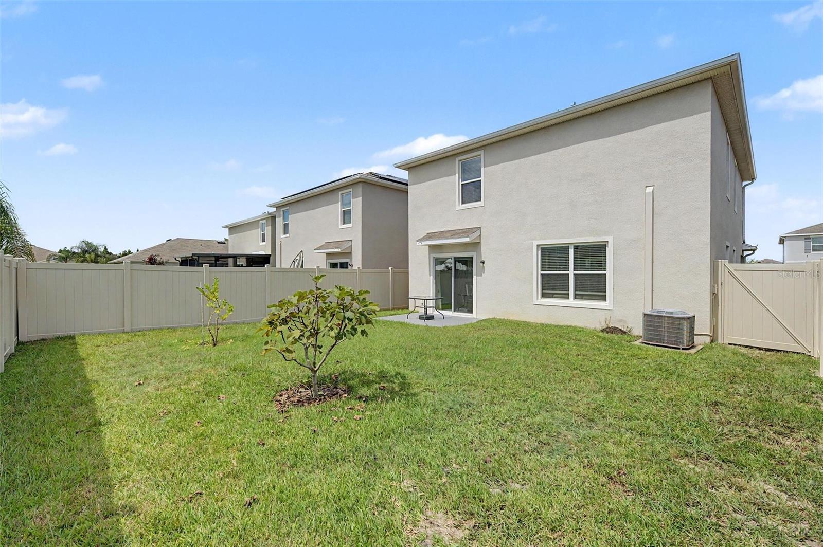 32664 Dashel Palm Ln Property Photo 14